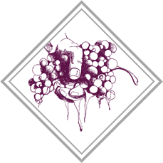 logo vini delle baite