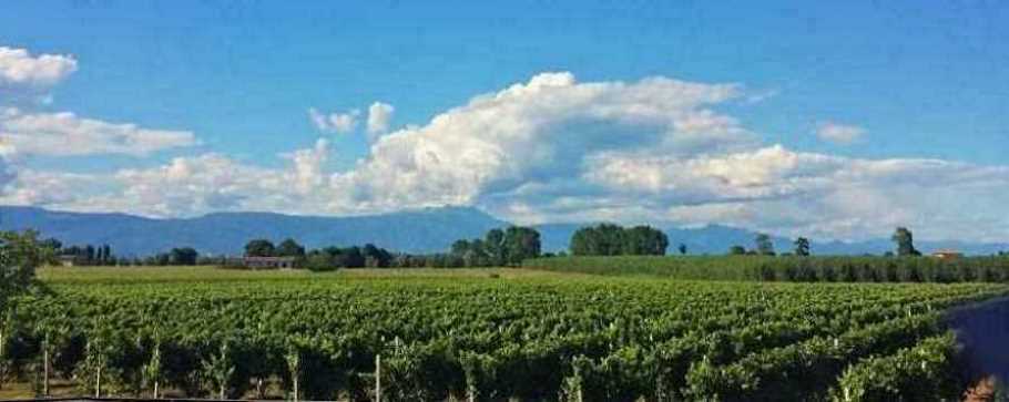 Piazzale delle cisterne azienda agricola i vini delle baite